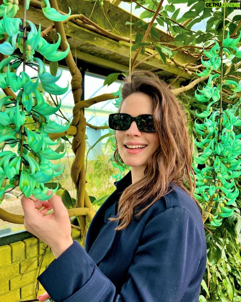 Hayley Atwell Instagram - So busy filming lately! Took a refreshing little trip to the beautiful Royal Botanical gardens at Kew on my day off. A mini- holiday from shooting action sequences and working with the best team in the world… Spring has sprung!