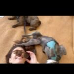Hayley Atwell Instagram – It’s Wolfie’s world and we’re all just living in it