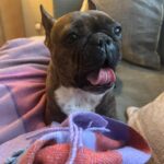 Hayley Atwell Instagram - Part TWO… bits and bobs and the throbs of wanderlust…