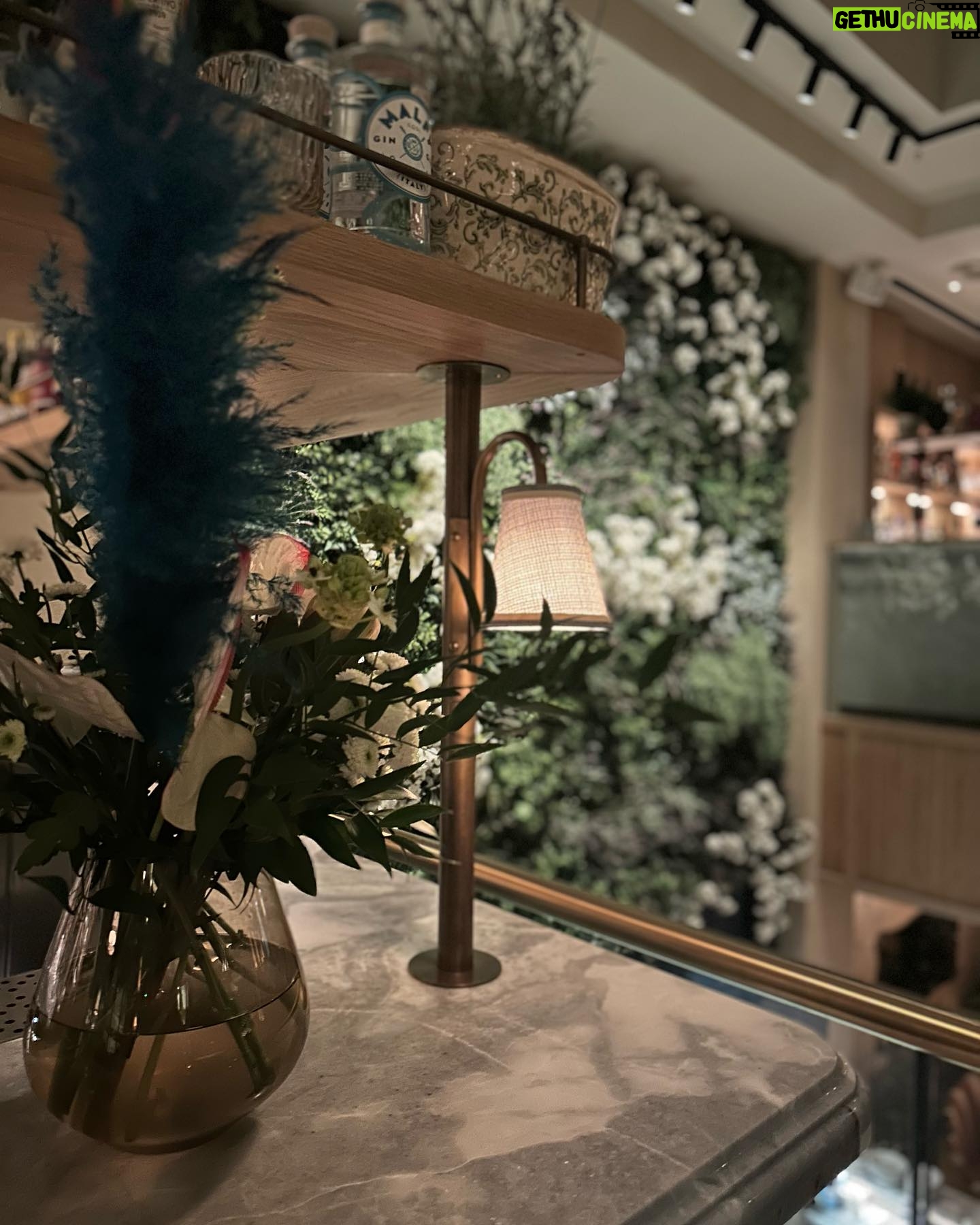 Hayley Atwell Instagram - That was delicious… treated my brilliant work team and agent extraordinaire to a New Year’s dinner at @lavolondon Thank you to the lovely and attentive staff and that outrageous menu of delights. 😋