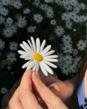 Hazal Subaşı Instagram - Becksleklasikyazbaşlıyodumpımız🍇