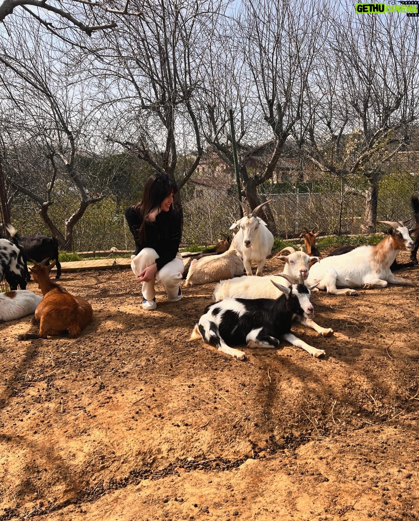 Hazal Subaşı Instagram - Baharlar gelmiiişşş☀️☀️