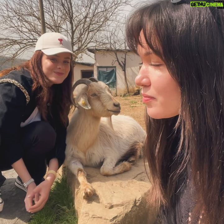 Hazal Subaşı Instagram - Baharlar gelmiiişşş☀️☀️