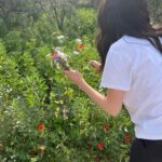 Hazar Ergüçlü Instagram – 🌻🌞