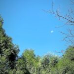 Hebe Tien Fu-chen Instagram - 🧘🏻⭐️🌙☀️✨ 週末參加了三天兩夜的立冬阿育吠陀瑜珈僻靜營 在網路上看到了推廣文，單憑幾個入眼的「阿育吠陀」、「瑜珈」、「僻靜」、「醺臍」（這輩子沒醺過那神秘的生命黑洞，很是好奇啊！）、「備受好評的素食」、「冥想」幾個關鍵字；又自視參加過十日內觀課程，把自己丟進陌生人群與陌生環境共處一室好幾日，應該不成問題，而且還有冥想瑜珈習慣的好表妹作陪，就手滑報名了。 一時幾乎忘了這個僻靜營非禁語，而且是同時與手機、網路共存的環境。報名後曾經一度猶豫後悔，但覺得應該是腦袋只想待在舒適圈的膽怯又再作祟，於是回頭選擇相信自己第一時間，心的第一直覺。 進營隊首要令人驚恐的就是自我介紹，一個站在舞台上唱歌的人，說自己有社交恐懼，我想說破嘴也不會有人能相信理解，只好硬著頭皮，假裝輕鬆落落大方地介紹自己。心想如果希望旁人能放鬆，自己就要先釋放出鬆弛感。不知道我的鬆弛感演得到不到位，策略是否奏效，但很快的就獲得大家一視同仁自然地互動對待，讓誤入叢林的老白兔我感激涕零啊！（後來才知道僻靜營的同學們都是老師瑜珈課的學生，彼此互相熟識。） 僻靜營每位同學的質地或許相異，但相同的是每個人都讓我感覺年輕有為，卻對自我完成、自我探索甚有要求，而不斷地想精進自己。這樣的他們很可愛，很可以被愛，也值得被愛。 我在每個同學、甚至老師身上都能投射看到自己局部的影子。我們是那麼不同的人，卻偶有相同的快樂、恐懼與苛刻自己的模樣。 課程結束前，我很想表達心中有多感謝這些孩子們願意自我探索，而成為我無比清晰一面面的明鏡；也謝謝老師求好心切地想把自己生命軌跡裡已知的、體悟的，與大家分享。 更想謝謝大家送給我這次奢侈珍貴的禮物 -「一視同仁的對待」。 聽到老師和同學們口中馥甄馥甄純粹地叫著我的名字時，我感覺到自己的獨特是因為生命本身，而不是身份。 這幾天被山林環抱，被可愛的善意擁抱。 道別前，其實也好想一一擁抱每位同學，但瞻前顧後的我，又擔心起這樣的行為是不是會造成自己把自己當成主角的觀感，於是作罷。 再見了，可愛的人們！ 祝福大家在星空下燃燒的願望都一一實現，且活出星空般無垠的豐盛。