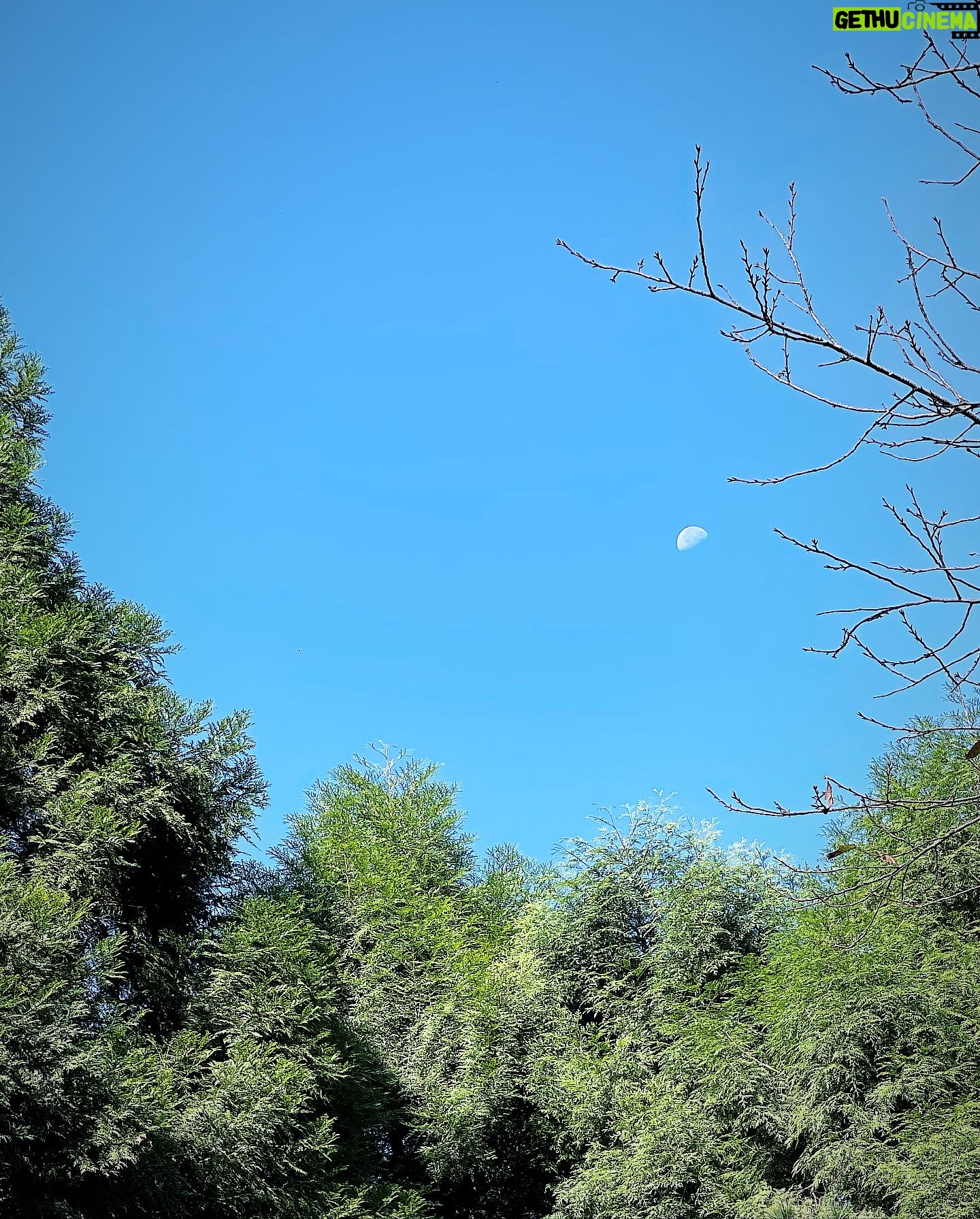 Hebe Tien Fu-chen Instagram - 🧘🏻⭐️🌙☀️✨ 週末參加了三天兩夜的立冬阿育吠陀瑜珈僻靜營 在網路上看到了推廣文,單憑幾個入眼的「阿育吠陀」、「瑜珈」、「僻靜」、「醺臍」(這輩子沒醺過那神秘的生命黑洞,很是好奇啊!)、「備受好評的素食」、「冥想」幾個關鍵字;又自視參加過十日內觀課程,把自己丟進陌生人群與陌生環境共處一室好幾日,應該不成問題,而且還有冥想瑜珈習慣的好表妹作陪,就手滑報名了。 一時幾乎忘了這個僻靜營非禁語,而且是同時與手機、網路共存的環境。報名後曾經一度猶豫後悔,但覺得應該是腦袋只想待在舒適圈的膽怯又再作祟,於是回頭選擇相信自己第一時間,心的第一直覺。 進營隊首要令人驚恐的就是自我介紹,一個站在舞台上唱歌的人,說自己有社交恐懼,我想說破嘴也不會有人能相信理解,只好硬著頭皮,假裝輕鬆落落大方地介紹自己。心想如果希望旁人能放鬆,自己就要先釋放出鬆弛感。不知道我的鬆弛感演得到不到位,策略是否奏效,但很快的就獲得大家一視同仁自然地互動對待,讓誤入叢林的老白兔我感激涕零啊!(後來才知道僻靜營的同學們都是老師瑜珈課的學生,彼此互相熟識。) 僻靜營每位同學的質地或許相異,但相同的是每個人都讓我感覺年輕有為,卻對自我完成、自我探索甚有要求,而不斷地想精進自己。這樣的他們很可愛,很可以被愛,也值得被愛。 我在每個同學、甚至老師身上都能投射看到自己局部的影子。我們是那麼不同的人,卻偶有相同的快樂、恐懼與苛刻自己的模樣。 課程結束前,我很想表達心中有多感謝這些孩子們願意自我探索,而成為我無比清晰一面面的明鏡;也謝謝老師求好心切地想把自己生命軌跡裡已知的、體悟的,與大家分享。 更想謝謝大家送給我這次奢侈珍貴的禮物 -「一視同仁的對待」。 聽到老師和同學們口中馥甄馥甄純粹地叫著我的名字時,我感覺到自己的獨特是因為生命本身,而不是身份。 這幾天被山林環抱,被可愛的善意擁抱。 道別前,其實也好想一一擁抱每位同學,但瞻前顧後的我,又擔心起這樣的行為是不是會造成自己把自己當成主角的觀感,於是作罷。 再見了,可愛的人們! 祝福大家在星空下燃燒的願望都一一實現,且活出星空般無垠的豐盛。