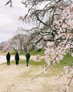 Hebe Tien Fu-chen Instagram - 🌸☘️⛰️🧘🏻 永遠都喜歡在生日時賞櫻， 今年櫻花晚開， 幾乎都在賞大量的樹枝和花苞， 雖然明白花開有時， 但期待落空時的情緒也很自然。 花開有時， 發片有時， 就讓一切自然而然。😝 （好啦～我會努力！💪🏻怎麼捨得辜負你們的期待呢！） 謝謝我的家人朋友和姐妹， 陪我把生活過成喜歡的樣子。 #晨起體驗永平寺早課覺得平靜幸福 #41歲的眼睛現在累到幾乎要掉出來 #壽星今日懷抱滿溢的祝福躺平去 #謝謝大家🤍