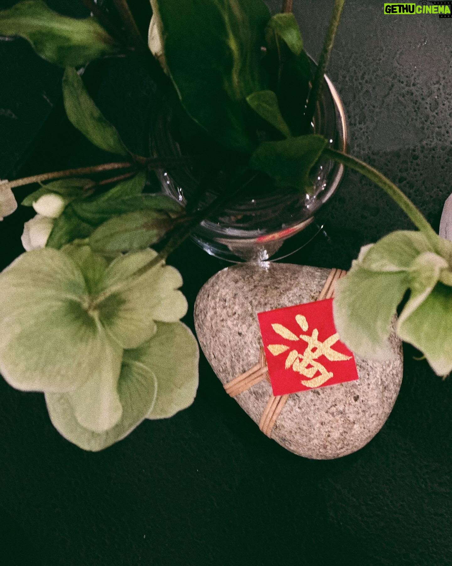 Hebe Tien Fu-chen Instagram - 昨天在電梯碰見德高望重的鄰居長輩 🦥:您好~新年快樂! 🧓🏼:新年快樂!辛苦了! 🦥:不辛苦,(很幸福)。 🧓🏼:偶爾在電視上看到妳,第一次碰見妳本人。 🦥:呵呵⋯ 括號裡沒說出口的字,是因為擔心讓長輩覺得我輕浮、油嘴滑舌、志得意滿,而止住了。 「不辛苦,很幸福。」 正是我靈魂直覺脫口而出的句子啊!幹嘛不好意思說出來呢?! 回到家,坐在沙發上,眼睛看著茶几石頭上的「滿」字,腦袋回想自己詞窮又不敢真實做自己的應對,覺得差強人意;卻又對於能發自內心感到幸福,覺得很是滿意。 今晚台北濕漉漉又低氣溫,晚餐一個人在家吃著便當,不知道是隨機播放的音樂偏憂傷,還是年前焦慮,總覺得心空空的。 情緒就像浪潮來來去去,上一秒覺得滿溢而滿意,下一秒又覺得莫名空虛。 等等打坐內觀去。 你有年前焦慮嗎? 焦慮什麼呢? 滿心期待回家團聚當巨嬰,又捨不得離開自己安安靜靜、自由自在的住所與生活節奏? #可能有一種人會說這是無病呻吟或是經前症候群 #我會說還有力氣呻吟代表還不至死去 #還有長輩拜訪也是一種奢侈的福氣