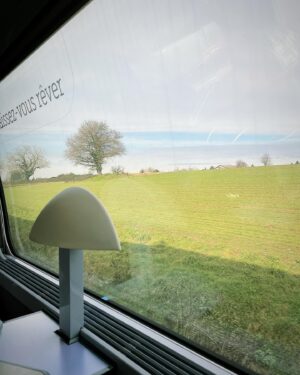 Hebe Tien Fu-chen Instagram - 🚄🐌 
窗外放映的風景好美；
車廂內滿座的乘客，卻安靜得連掉下一根針都會被聽見。

有一點耽溺於這樣的寧靜。

擁有目的地的列車急行著，
載著漫無目的的我徐行著。

想到金城武說的：「世界越快，心，則慢。」

用自己的配速，走自己人生的路。

#外冷內要熱
#心還是熱的
#寒冬要送暖
#照顧自己
#溫暖他人
#我愛你們