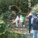 Hebe Tien Fu-chen Instagram – 龍年首爬-騎龍山⛰️

這團山友年齡跨度挺大
從10歲到72歲
大家都能健康邁開腳步走進山林
邊走邊說笑
享受一步步的提起與放下
也互相提醒著彼此留心腳下

山在
陽光在
你們也在

真好 🤍

#騎龍山
#騎龍古道
#逃學步道