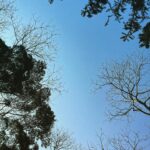 Hebe Tien Fu-chen Instagram – 龍年首爬-騎龍山⛰️

這團山友年齡跨度挺大
從10歲到72歲
大家都能健康邁開腳步走進山林
邊走邊說笑
享受一步步的提起與放下
也互相提醒著彼此留心腳下

山在
陽光在
你們也在

真好 🤍

#騎龍山
#騎龍古道
#逃學步道