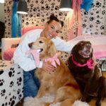 Heidi D’Amelio Instagram – I threw a puppy party! 🐾🎀🦴🩵🎉 Head over to my TikTok to see how I celebrated Rebel, Cali & Codi’s birthdays!
