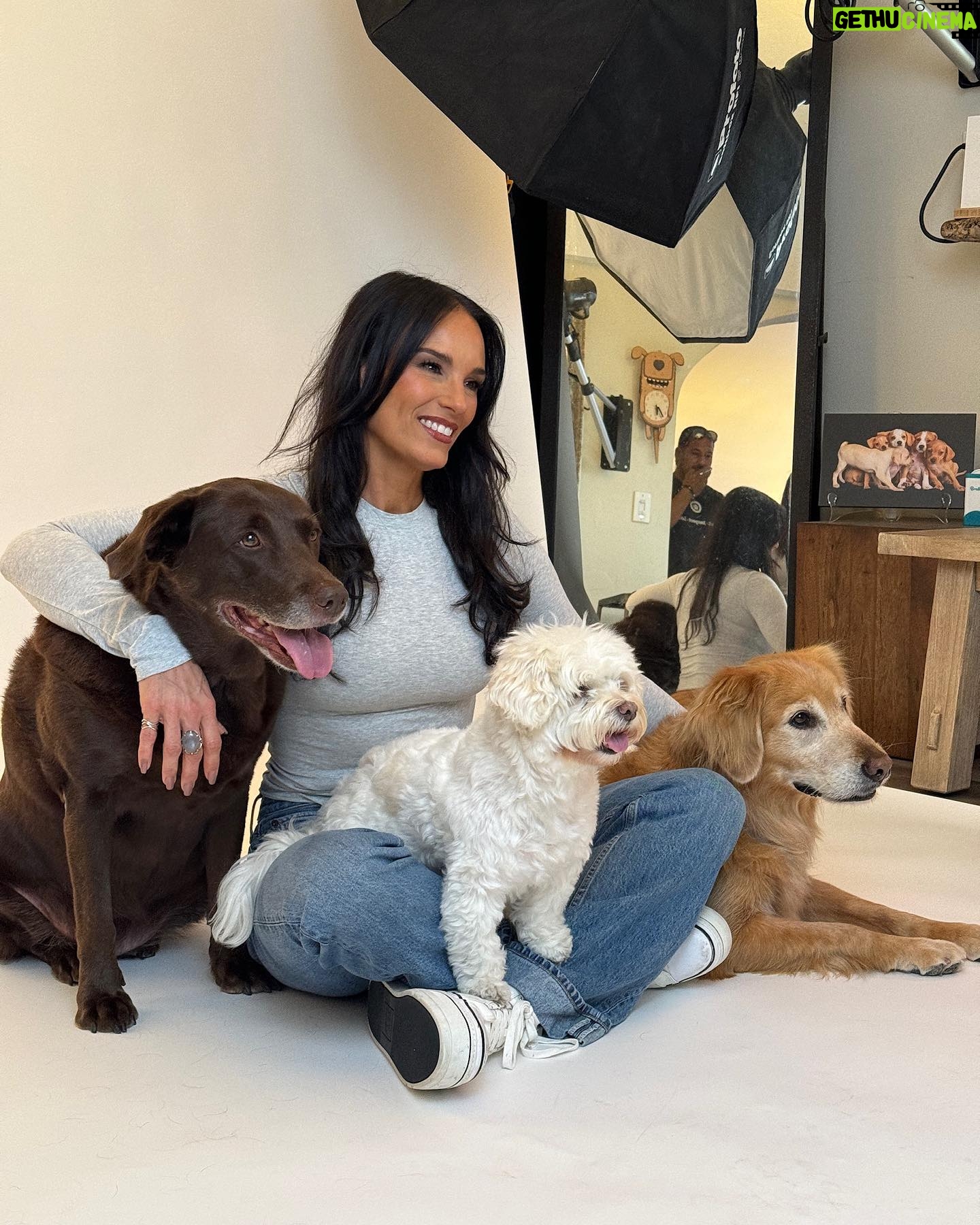Heidi D'Amelio Instagram - A photoshoot with all 5 dogs was a chaotic dream come true! I’m so honored have worked with @charlienunnphotography for a special project with @wagsandwalks 🐾📸 #dogphotoshoot #dogs #dameliofootwear