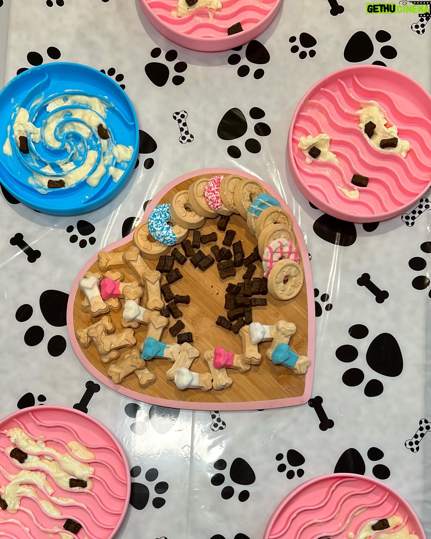 Heidi D'Amelio Instagram - I threw a puppy party! š¾šš¦“š©µš Head over to my TikTok to see how I celebrated Rebel, Cali & Codiās birthdays!
