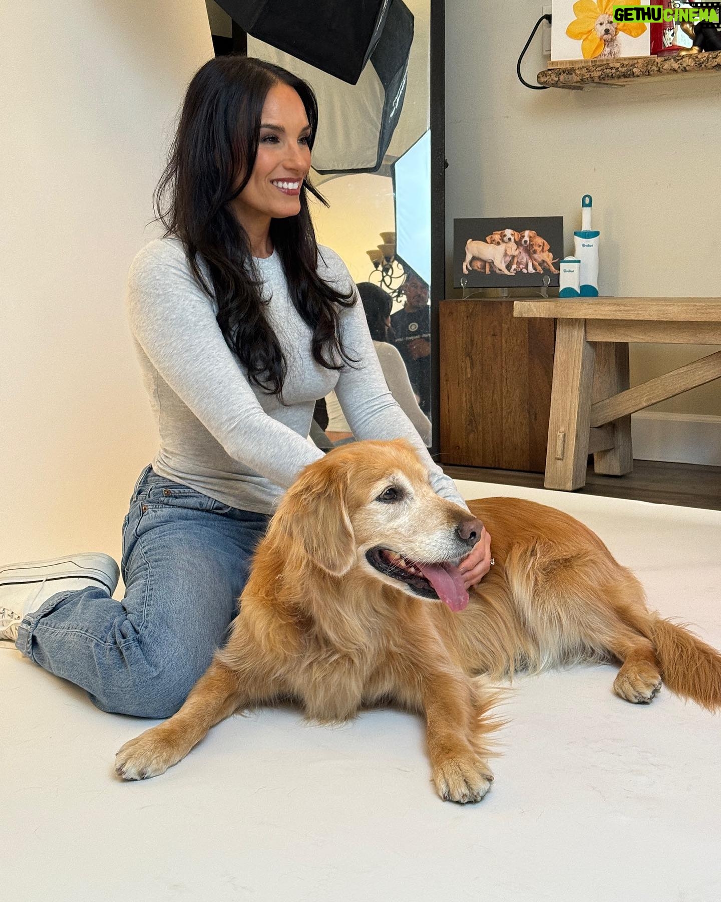 Heidi D'Amelio Instagram - A photoshoot with all 5 dogs was a chaotic dream come true! I’m so honored have worked with @charlienunnphotography for a special project with @wagsandwalks 🐾📸 #dogphotoshoot #dogs #dameliofootwear