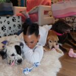 Heidi D'Amelio Instagram - I threw a puppy party! 🐾🎀🦴🩵🎉 Head over to my TikTok to see how I celebrated Rebel, Cali & Codi’s birthdays!