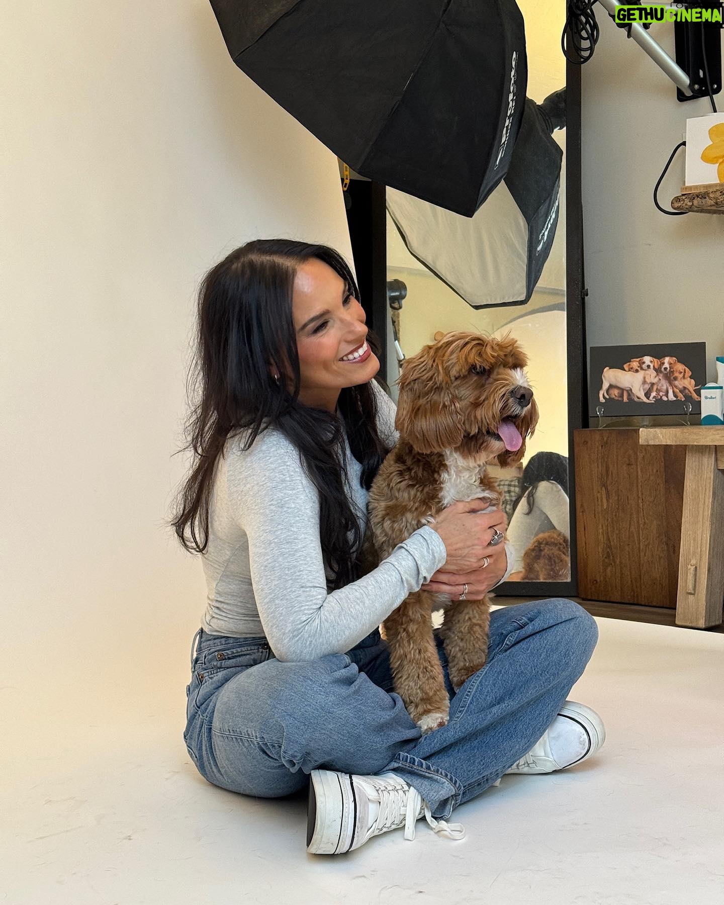 Heidi D'Amelio Instagram - A photoshoot with all 5 dogs was a chaotic dream come true! I’m so honored have worked with @charlienunnphotography for a special project with @wagsandwalks 🐾📸 #dogphotoshoot #dogs #dameliofootwear