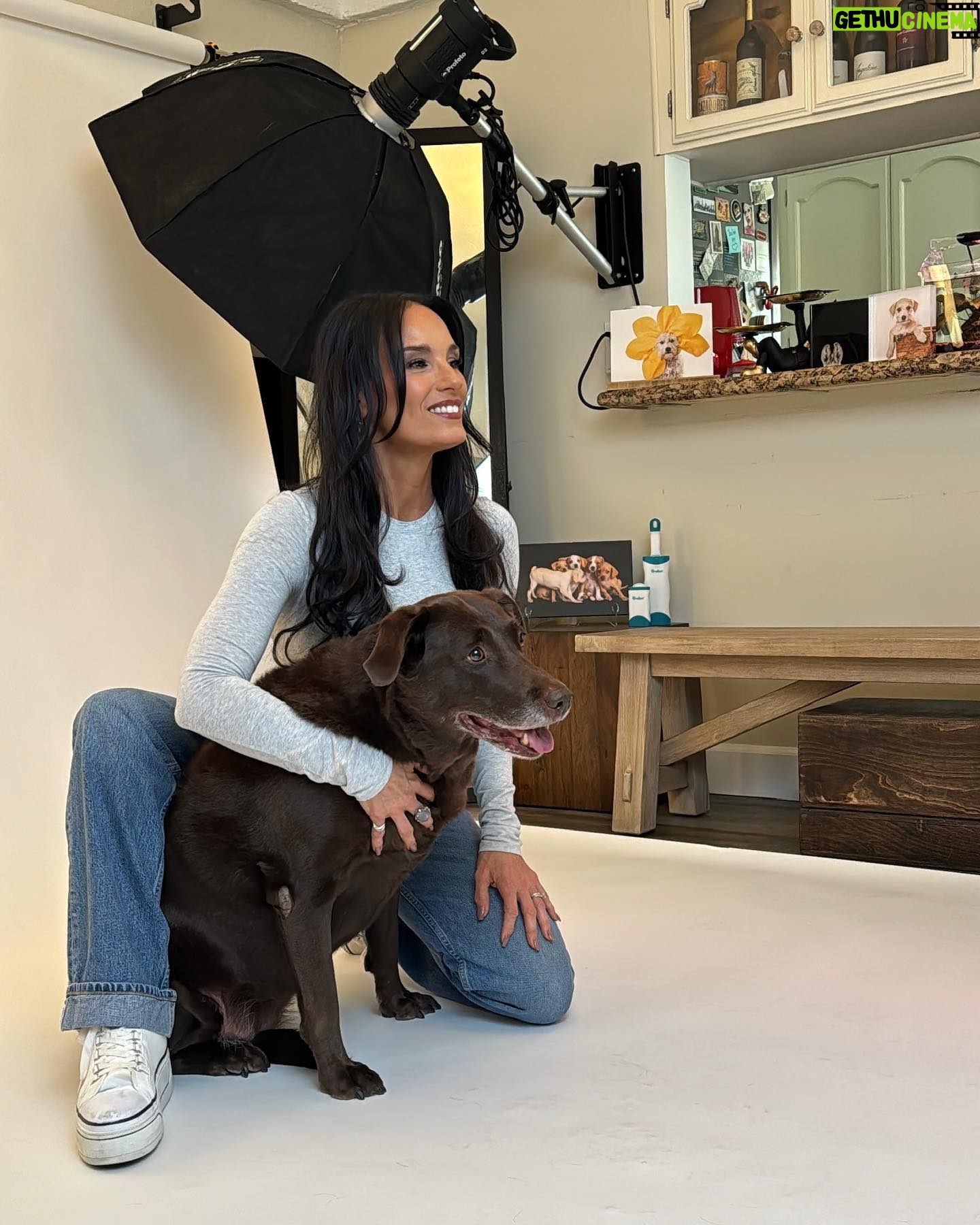 Heidi D'Amelio Instagram - A photoshoot with all 5 dogs was a chaotic dream come true! I’m so honored have worked with @charlienunnphotography for a special project with @wagsandwalks 🐾📸 #dogphotoshoot #dogs #dameliofootwear