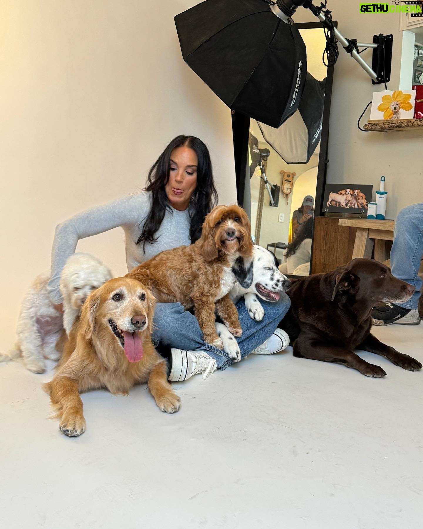 Heidi D'Amelio Instagram - A photoshoot with all 5 dogs was a chaotic dream come true! I’m so honored have worked with @charlienunnphotography for a special project with @wagsandwalks 🐾📸 #dogphotoshoot #dogs #dameliofootwear