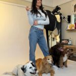 Heidi D'Amelio Instagram - A photoshoot with all 5 dogs was a chaotic dream come true! I’m so honored have worked with @charlienunnphotography for a special project with @wagsandwalks 🐾📸 #dogphotoshoot #dogs #dameliofootwear