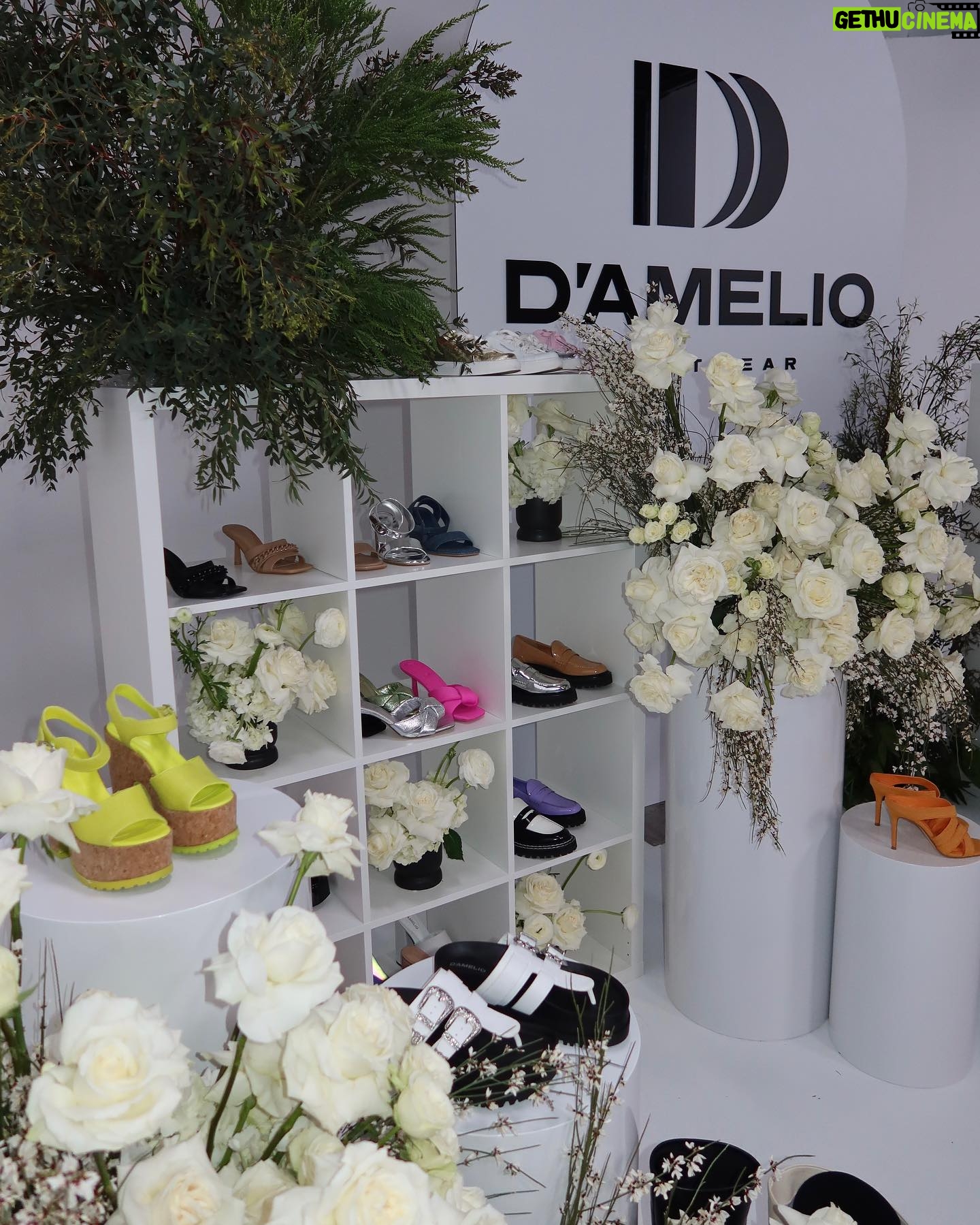 Heidi D'Amelio Instagram - This @dameliofootwear set up for @vinivia.live was everything! π€πΌπΏβ¨