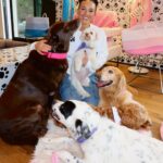 Heidi D'Amelio Instagram - I threw a puppy party! 🐾🎀🦴🩵🎉 Head over to my TikTok to see how I celebrated Rebel, Cali & Codi’s birthdays!