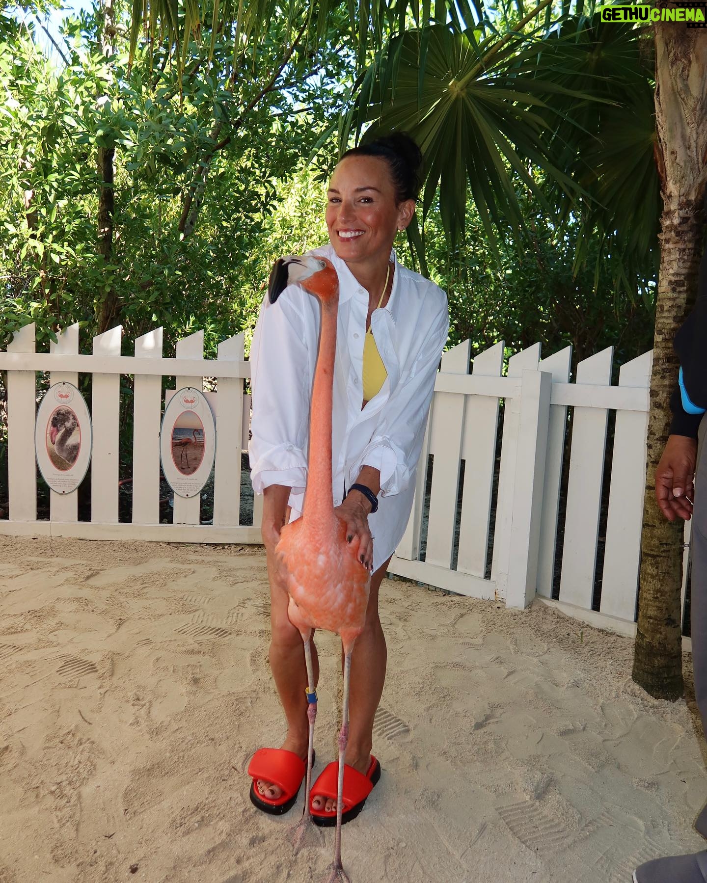 Heidi D'Amelio Instagram - Bahama Mama 🌴🩵🍹 so many memories were made this trip!