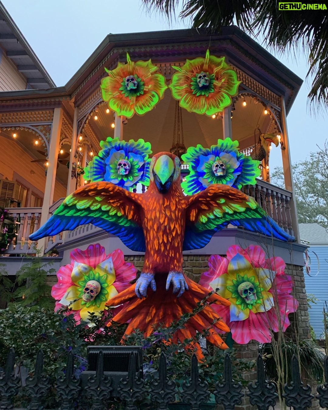 Helen Mirren Instagram - my friend’s house in New Orleans, a founder member of the the house Mardi Gras floats concept. You cannot keep that great city and it’s citizens down, Happy Mardi Gras Crescent City