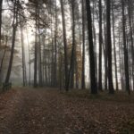 Helen Mirren Instagram - and some pics of the beautiful country of which Dalia is president