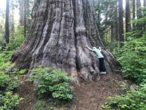 Helen Mirren Instagram - it’s always good to hug a tree