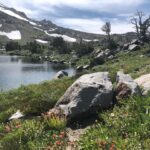 Helen Mirren Instagram - the incredible beauty of the Sierras and their wildflowers