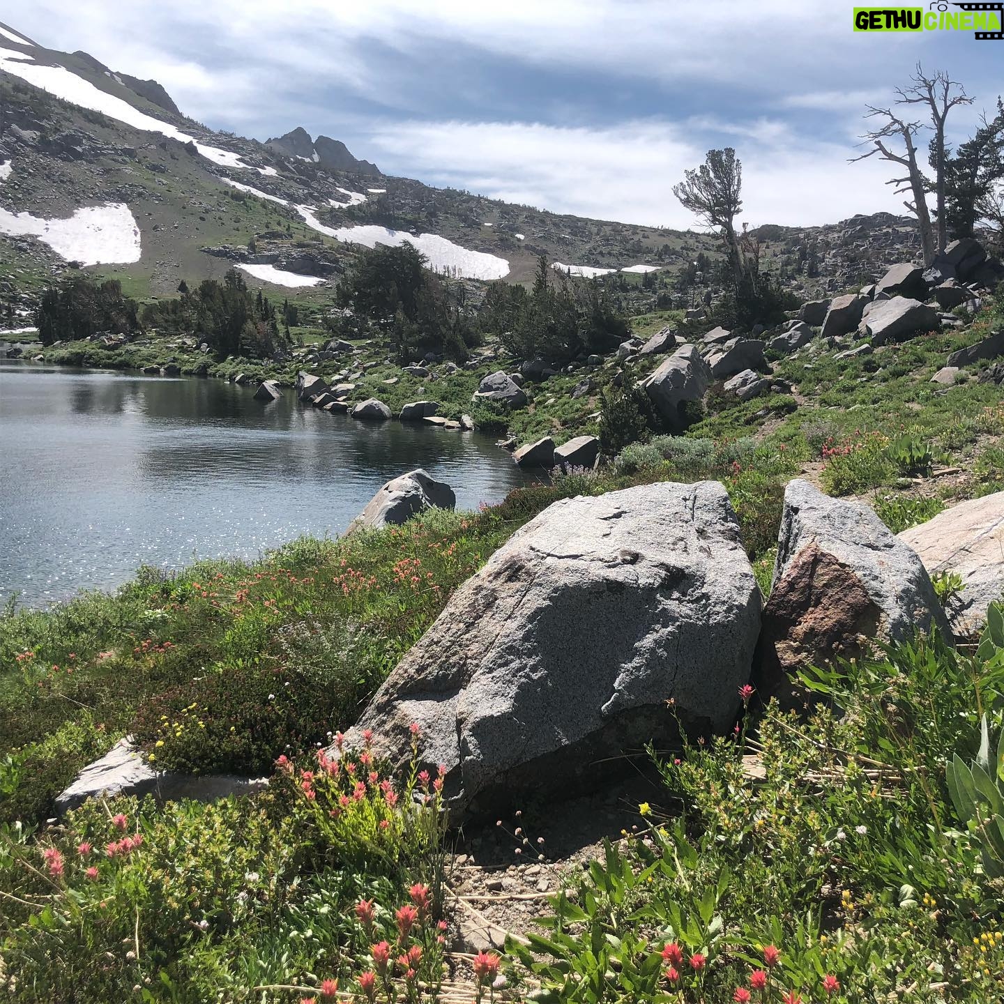 Helen Mirren Instagram - the incredible beauty of the Sierras and their wildflowers