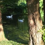 Helen Mirren Instagram - Some photos to follow: the beauty of England in June Some lovely places