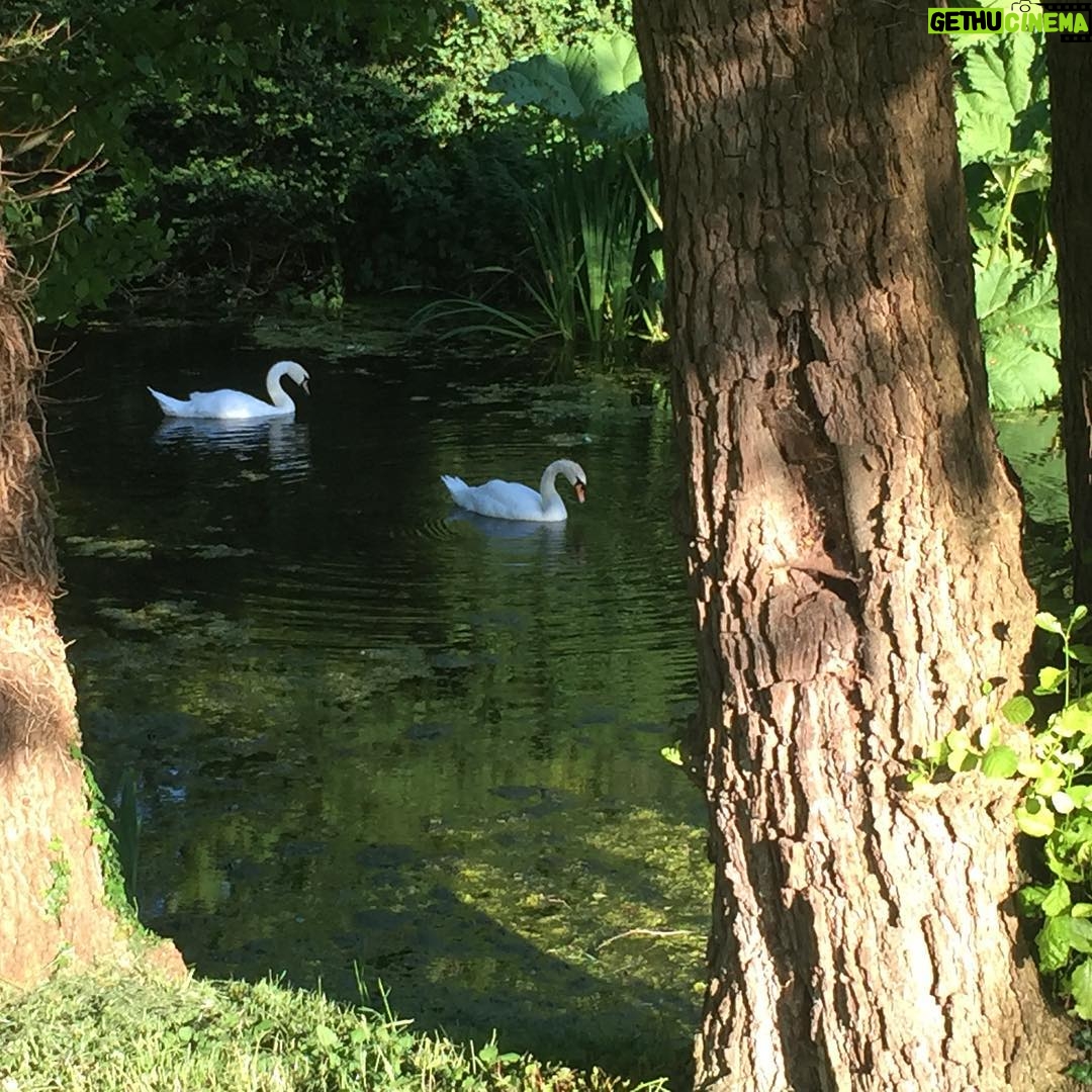 Helen Mirren Instagram - Some photos to follow: the beauty of England in June Some lovely places