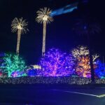 Helen Mirren Instagram - prize for christmas lights
