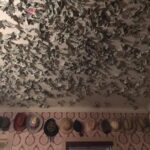 Helen Mirren Instagram - Here are all the dollar bills on the ceiling of JT’s basque restaurant