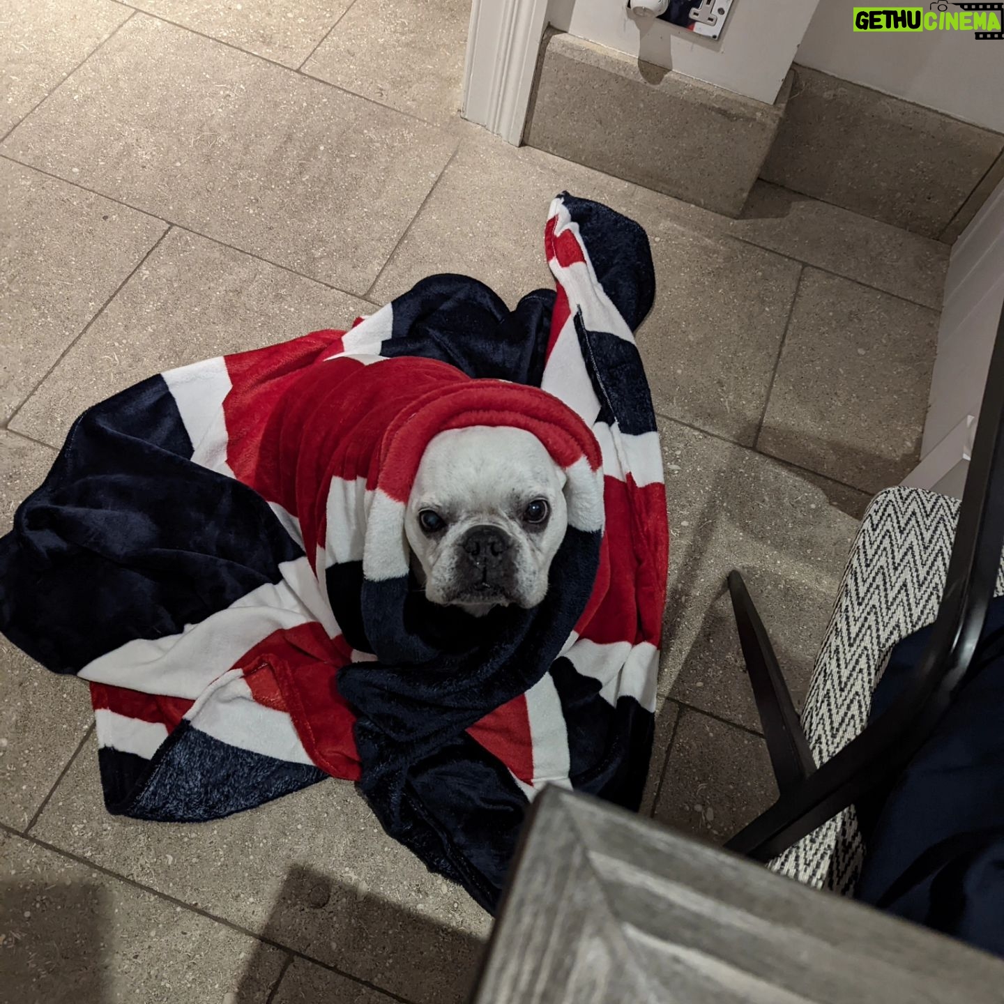 Henry Cavill - 2.4 Million Likes - Today marks one year since Meat (our french bulldog) decided to shuffle off this mortal plane and continue on his journey. I have to say, I hadn't previously felt pain quite like the pain I felt when Meat died. I'd only know him for three years, but in those three years he and I made such incredible progress together, and he completely changed my outlook on French Bulldogs. He was deaf, so I learned how to use body language to communicate properly with him. He couldn't stand other dogs, but we got to a place of tolerance with Kal (my Akita). He survived a very complicated cancer removal surgery. He travelled to far flung lands without complaint. He would come looking for me at night if I stayed up playing computer games too late. He would be ferociously protective over Natalie, but learned to trust Kal and me for guidance. He fell ill and recovered a number of times. He enjoyed many a backpack ride once he got too tired to make any decent length walks. At the end he fell ill with a pneumonia. I'll never forget the expression on his face, desperately asking me for help on the way to the vet in Turkey because he couldn't breath. Once there, however, he held strong and recovered to such a point that we felt hope, but it turns out he was just waiting for us to bring him home. He passed away peacefully in England. Thinking of him always brings great sadness, but also great joy. We'll miss him as long as we live, but wouldn't live nearly as richly had we never have known him. Journey well Meatboi.
