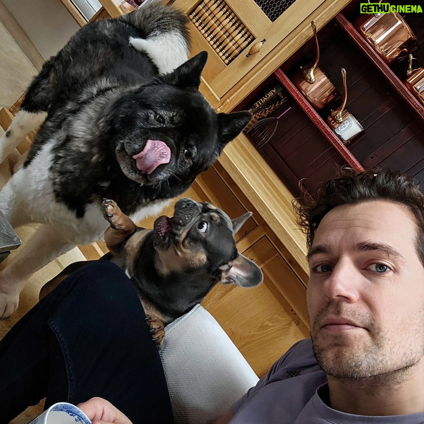 Henry Cavill - 2.4 Million Likes - Happy Birthday, Baggins! There was a time, not so long ago, when Kal used to live in peace. Alas, he's now one friend richer, but uninterrupted naps are never assured.