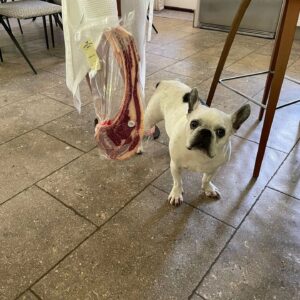 Henry Cavill Instagram - Today marks one year since Meat (our french bulldog) decided to shuffle off this mortal plane and continue on his journey. I have to say, I hadn't previously felt pain quite like the pain I felt when Meat died. I'd only know him for three years, but in those three years he and I made such incredible progress together, and he completely changed my outlook on French Bulldogs. He was deaf, so I learned how to use body language to communicate properly with him. He couldn't stand other dogs, but we got to a place of tolerance with Kal (my Akita). He survived a very complicated cancer removal surgery. He travelled to far flung lands without complaint. He would come looking for me at night if I stayed up playing computer games too late. He would be ferociously protective over Natalie, but learned to trust Kal and me for guidance. He fell ill and recovered a number of times. He enjoyed many a backpack ride once he got too tired to make any decent length walks. At the end he fell ill with a pneumonia. I'll never forget the expression on his face, desperately asking me for help on the way to the vet in Turkey because he couldn't breath. Once there, however, he held strong and recovered to such a point that we felt hope, but it turns out he was just waiting for us to bring him home. He passed away peacefully in England. Thinking of him always brings great sadness, but also great joy. We'll miss him as long as we live, but wouldn't live nearly as richly had we never have known him. Journey well Meatboi.