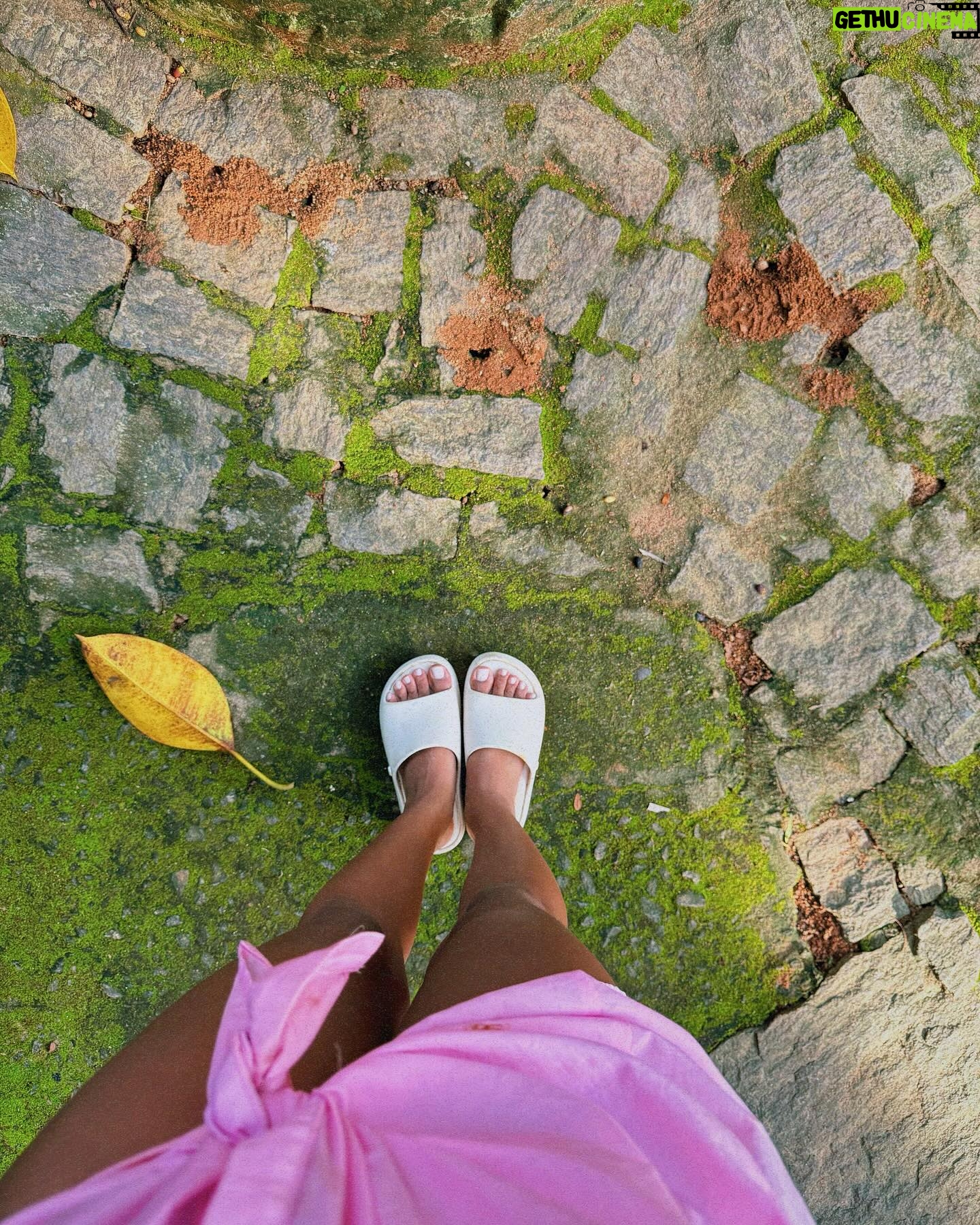 Heslaine Vieira - 16.3K Likes - No último domingo de verão um dump da minha estação preferida 🌻☀️