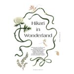 Hikari Mitsushima Instagram - blumenhausmagazine 🪄〻∝