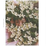 Hikari Mitsushima Instagram - blumenhausmagazine 🪄〻∝