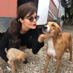 Hilal Altınbilek Instagram - set ziyaretçilerimiz 🙈🙈❤️🐶 #birzamanlarçukurova