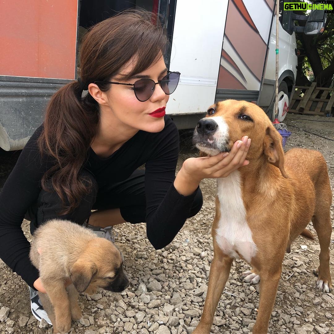 Hilal Altınbilek Instagram - set ziyaretçilerimiz 🙈🙈❤️🐶 #birzamanlarçukurova