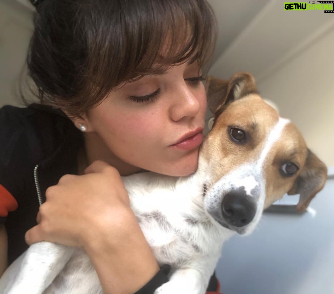 Hilal Altınbilek Instagram - Ayrılıyoruz😞yine ...#maximus ❤️🐶