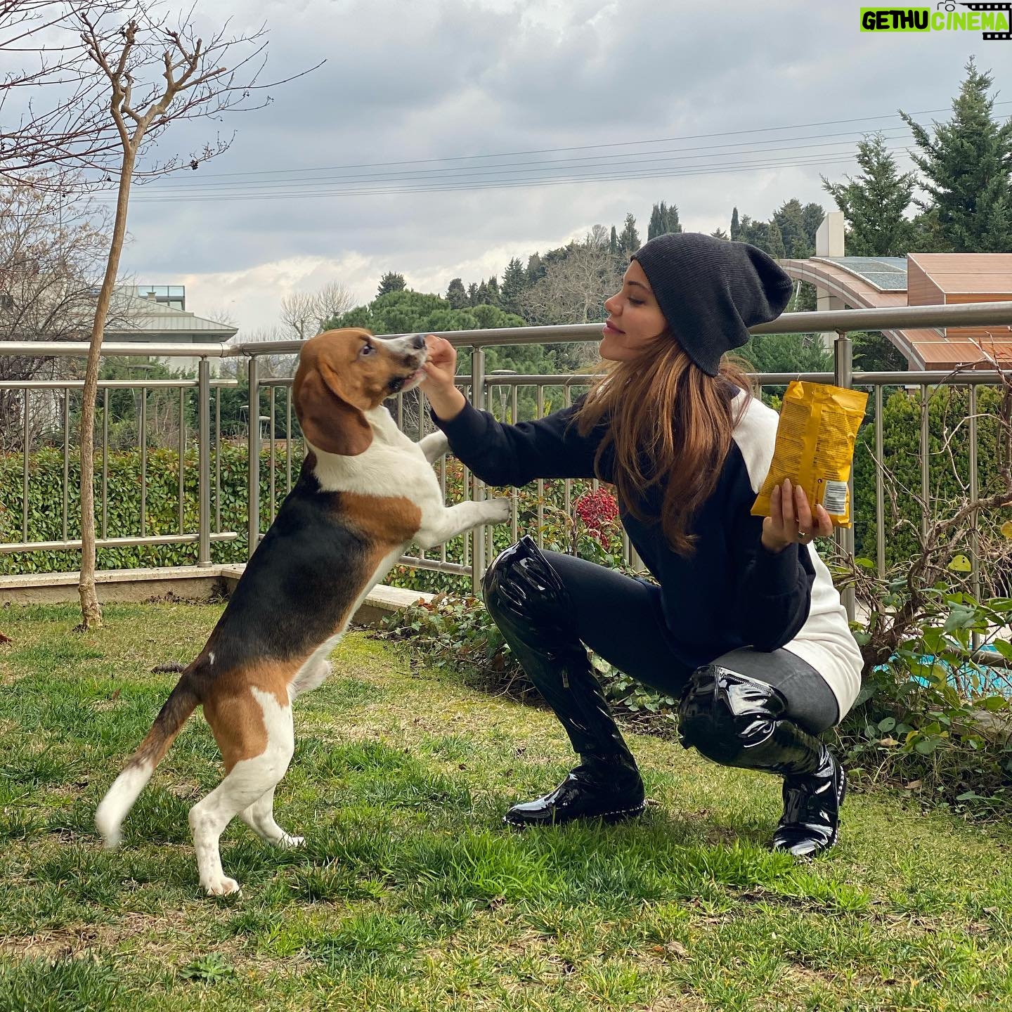 Hilal Altınbilek - 146.3K Likes - #jupiter🐶 🥰