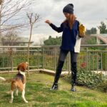 Hilal Altınbilek Instagram - #jupiter🐶 🥰