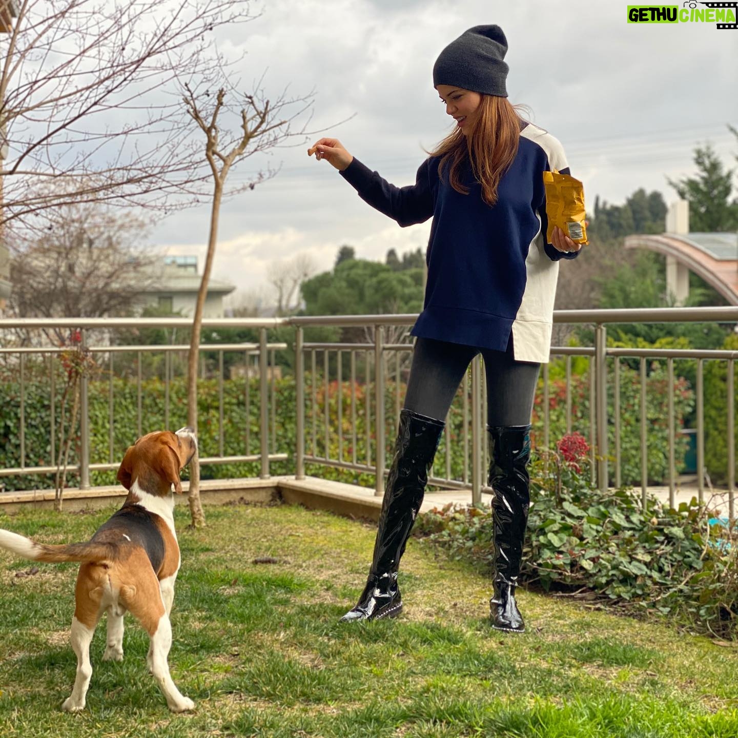 Hilal Altınbilek - 146.3K Likes - #jupiter🐶 🥰