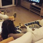 Hilal Altınbilek Instagram - 👌🏻"I dont go by the rule book.I lead from the heart,not the head" #prensesdiana #maximus #sevdim #likeitup #atsweethome🏡