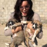 Hilal Altınbilek Instagram - Take a way please🙈🙈🙈🐶🐶🐶
